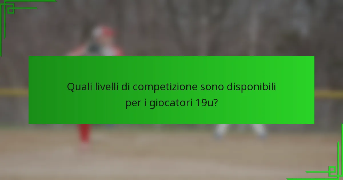 Quali livelli di competizione sono disponibili per i giocatori 19u?