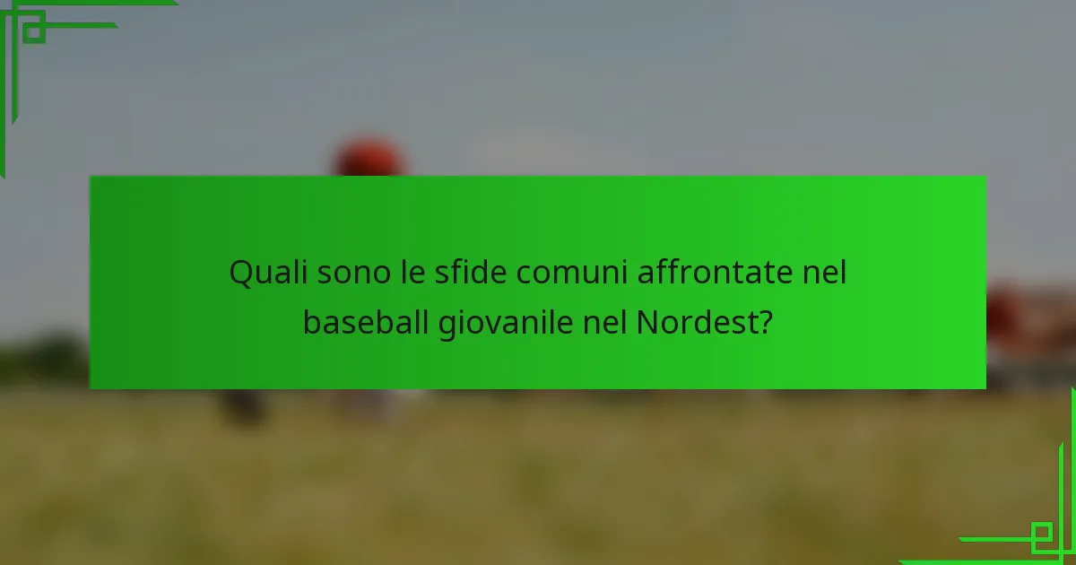 Quali sono le sfide comuni affrontate nel baseball giovanile nel Nordest?